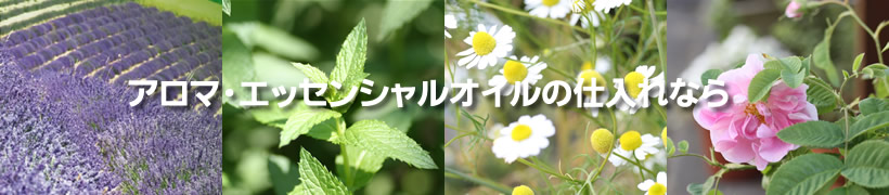 �G�b�Z���V�����I�C���@�d����